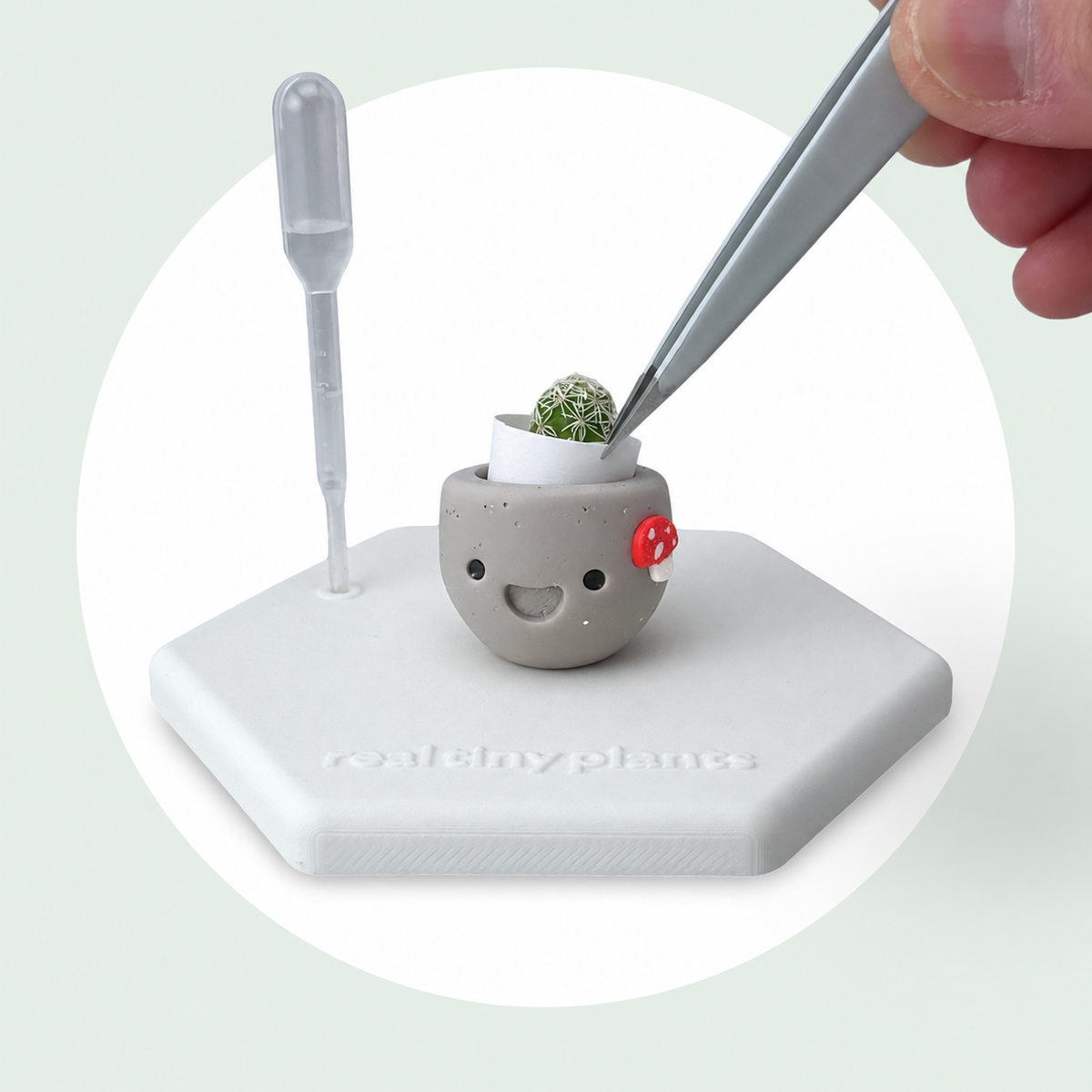 Tweezers place the live thimble cactus into the white inner pot inside Mushroom Munchkin