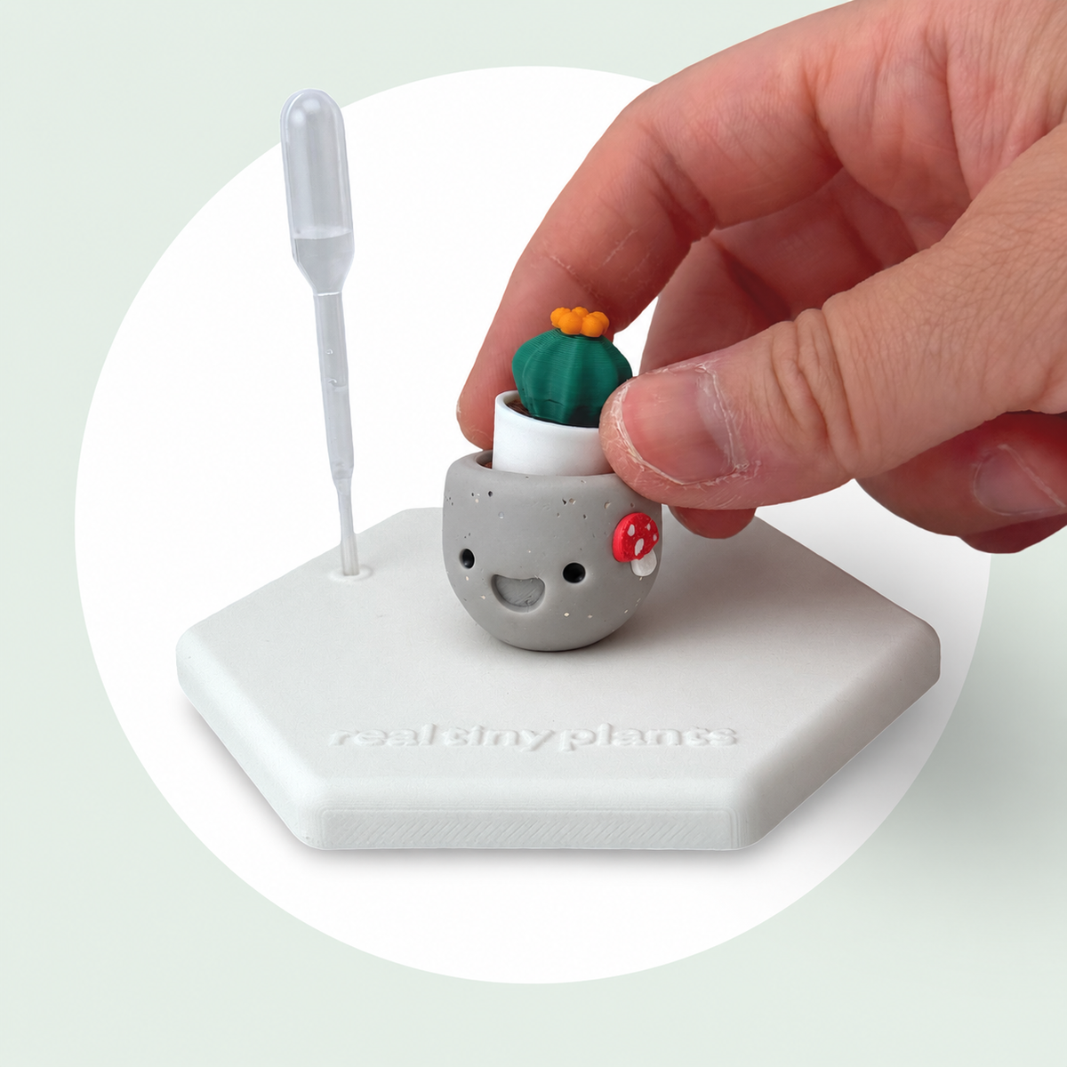 A hand sets the Cactus Pal into the Mushroom Munchkin pot on its magnetic coaster