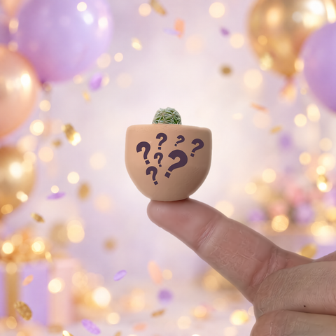 Mystery Pool mini cactus pot with question marks on a fingertip, balloons and confetti behind