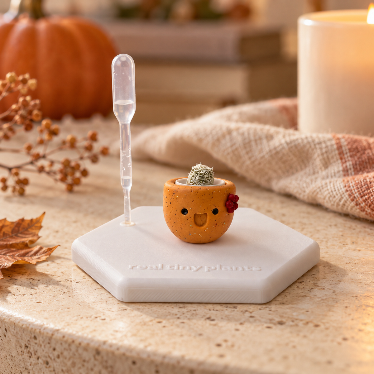 Pumpkin Spice tiny cactus on its white hexagon coaster on a counter beside a small pumpkin, a candle, a knit throw, and autumn leaves