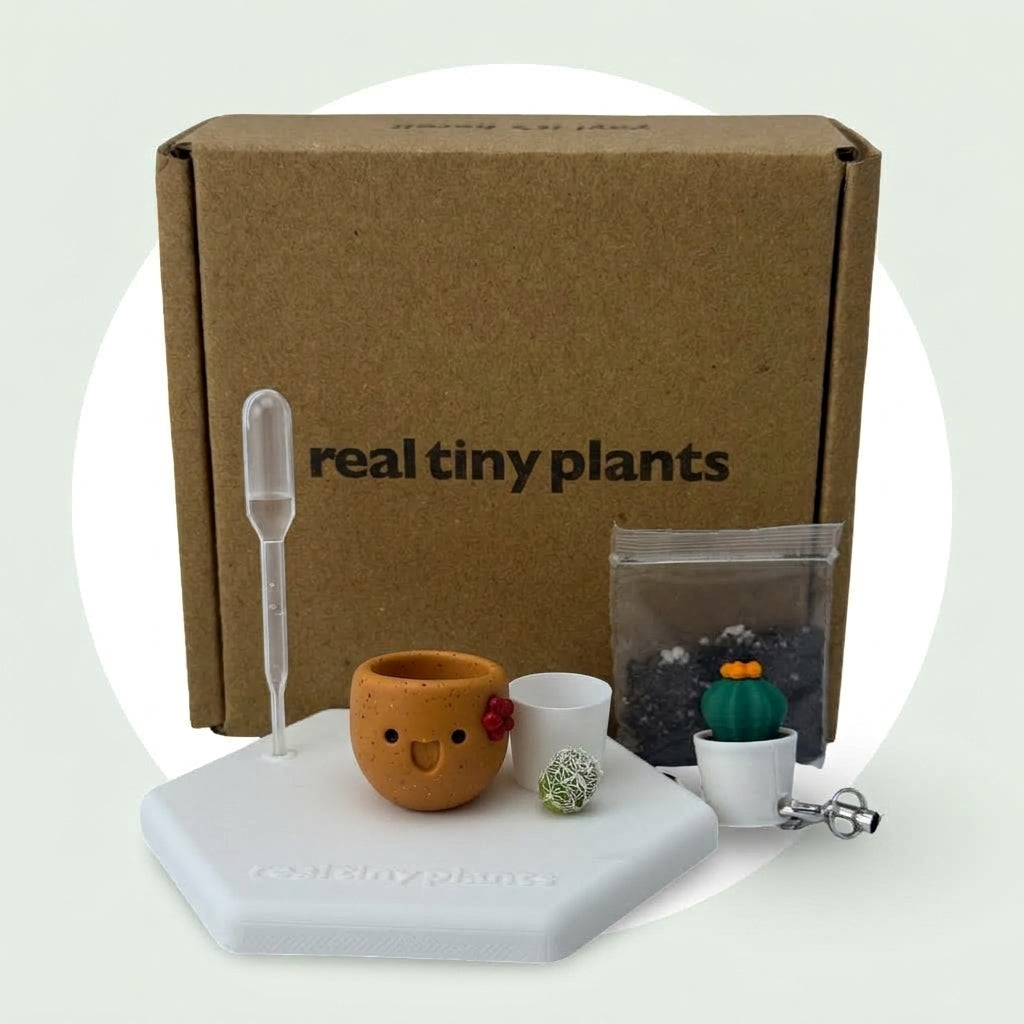 Pumpkin Spice adoption kit with shipping box, dropper, soil, white inner pot, live cactus, magnetic coaster, and Cactus Pal keychain