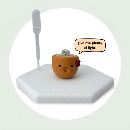 Pumpkin Spice on its magnetic coaster with a speech bubble that says give me plenty of light