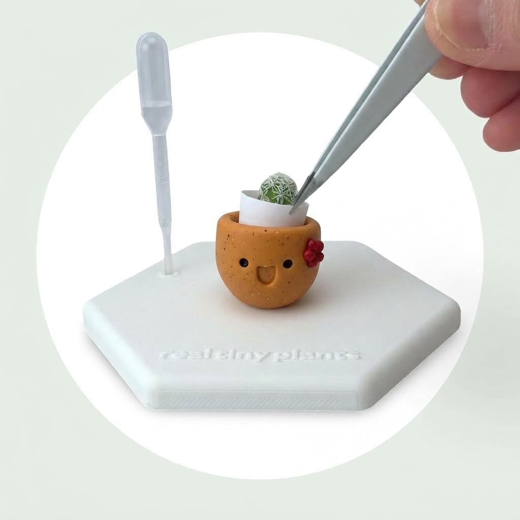 Tweezers place the live thimble cactus into the white inner pot inside Pumpkin Spice
