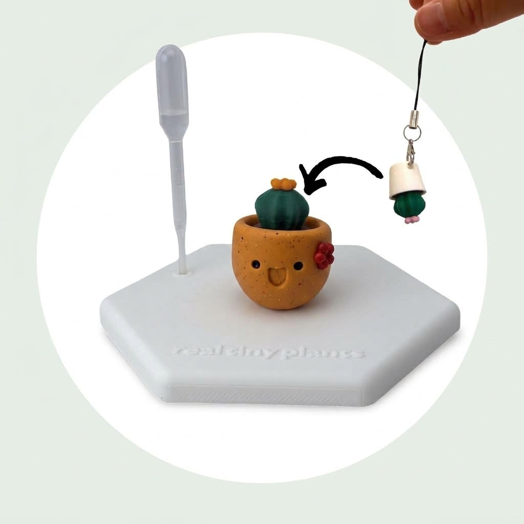 Cactus Pal keychain shown dropping into the Pumpkin Spice pot as a forever plant backup