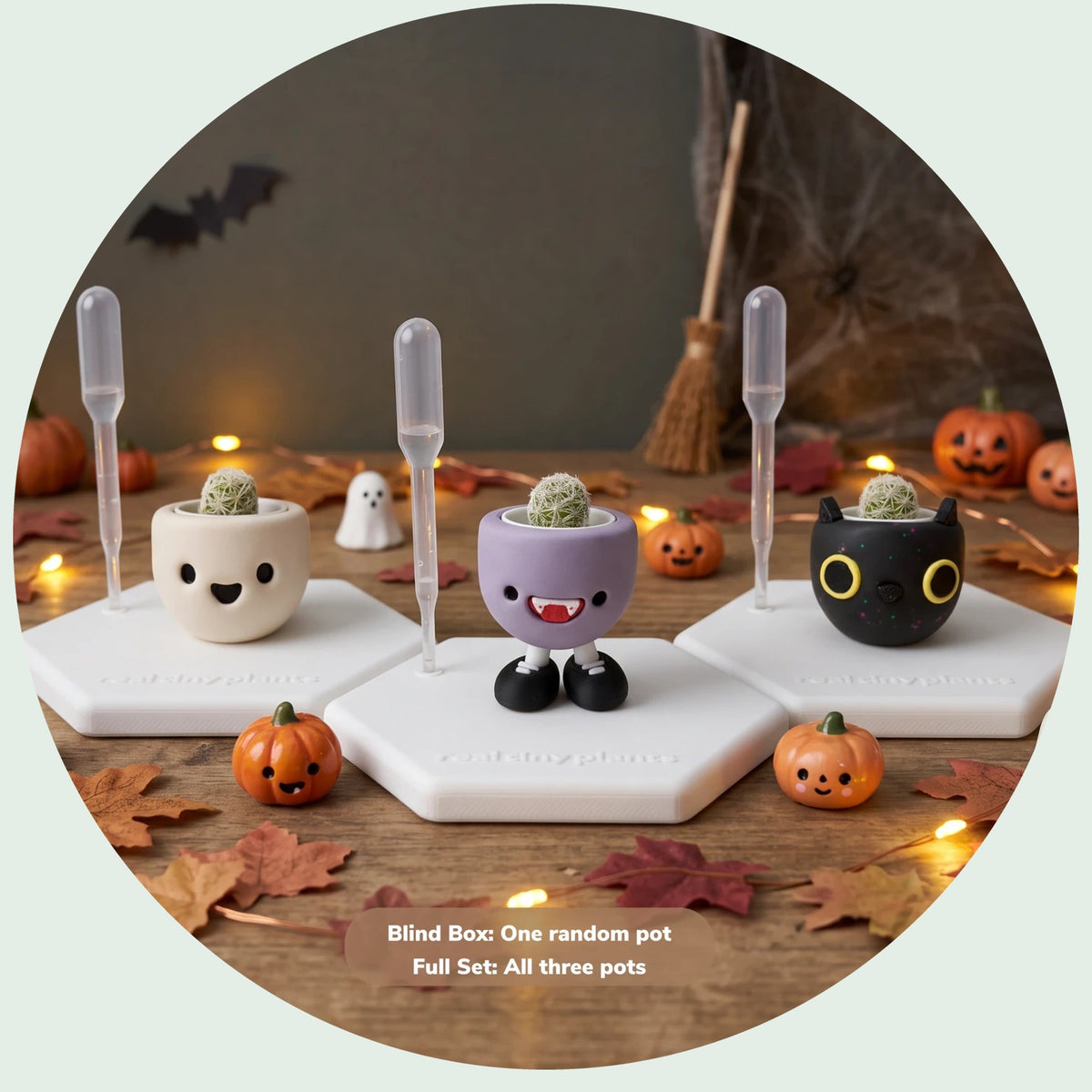 Spookies Blind Box: Happy Ghost, Vamps Jr. and Galactic Cat, each a live thimble cactus in a handmade pot on a hexagon stand, in a Halloween scene