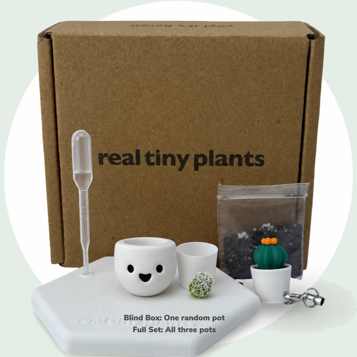 Everything in the Spookies adoption kit in front of the box: pot, inner pot, cactus, soil, dropper, stand and Cactus Pal keychain