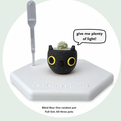 Galactic Cat on its stand saying give me plenty of light