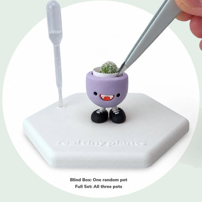 Planting the thimble cactus in Vamps Jr. with tweezers