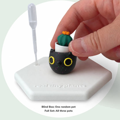 Placing the Cactus Pal into Galactic Cat
