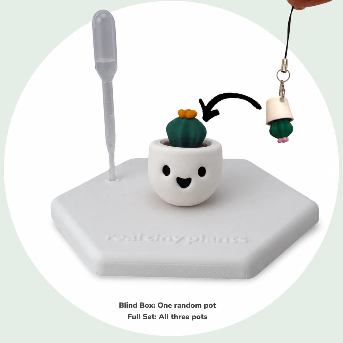 Cactus Pal keychain swapping into Happy Ghost