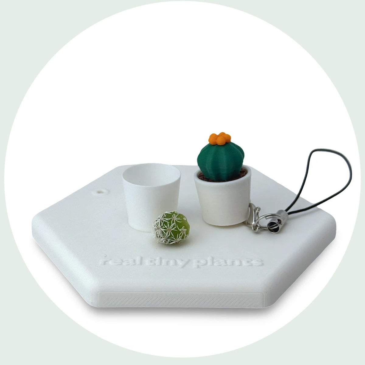 Inner liner pot, cactus and Cactus Pal keychain on the hexagon stand