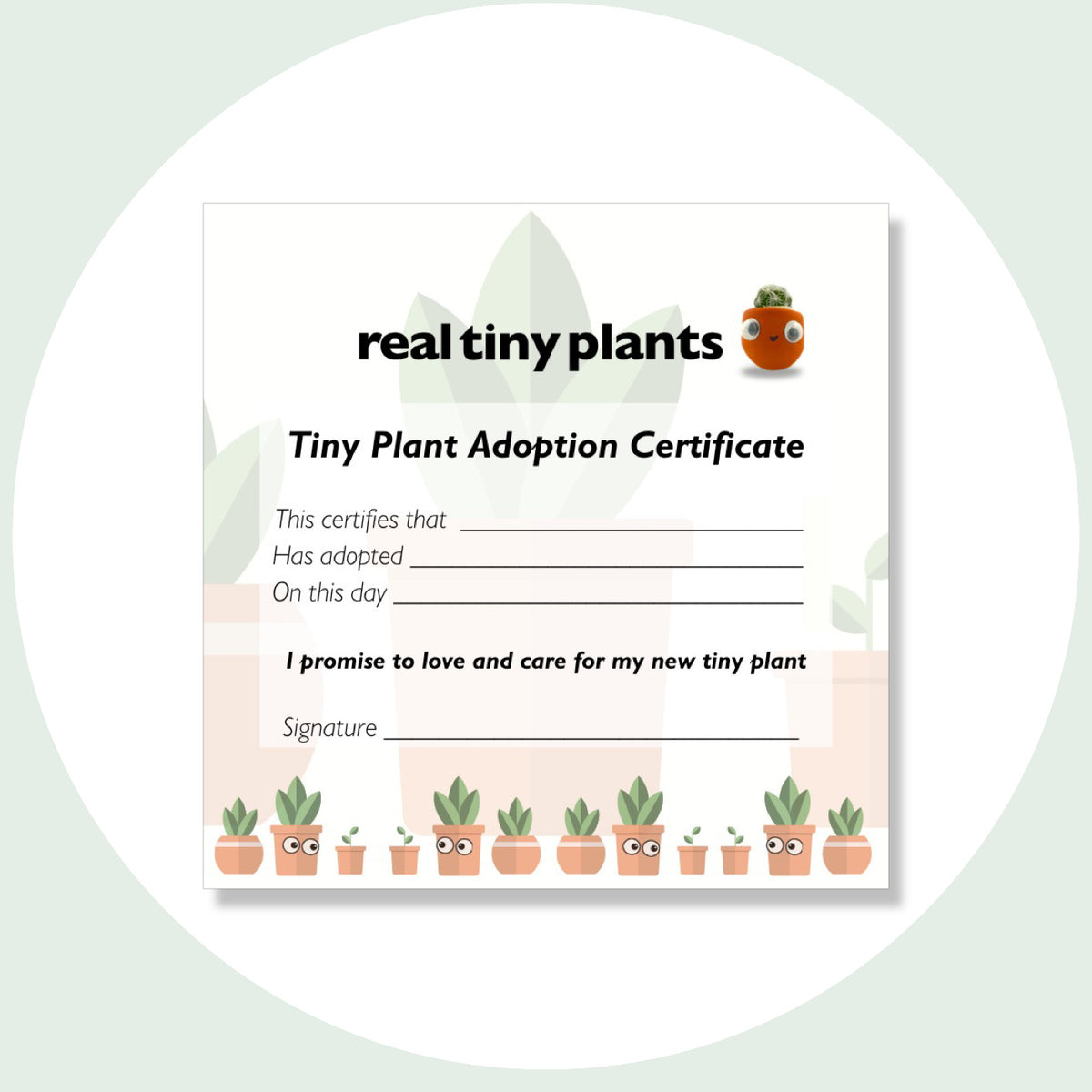 Tiny Plant Adoption Certificate with spaces for your plant's name, adoption date and signature