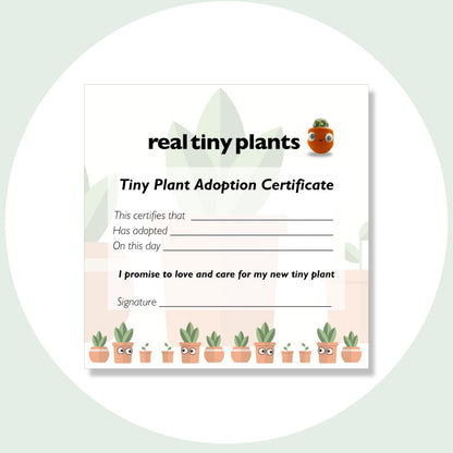 Tiny Plant Adoption Certificate with spaces for your plant's name, adoption date and signature