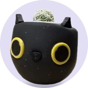 Galactic Cat